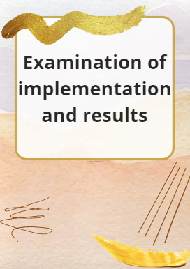 Examination of implementation and results